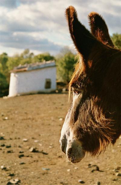 Готель Casas Campo Cimo Da Quinta Міранда-ду-Дору Екстер'єр фото